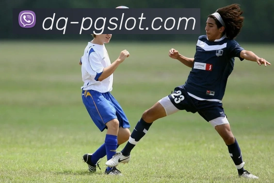 麻将胡了2PG官网发展历程